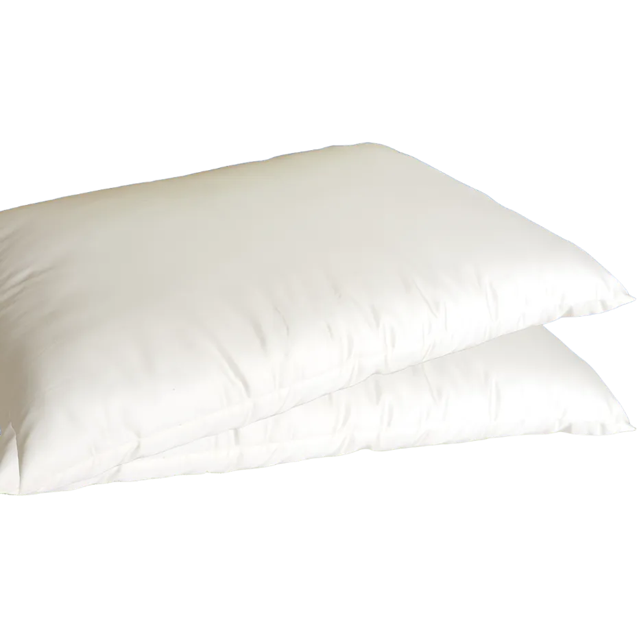 100% Organic Cotton Pillow - Standard Size