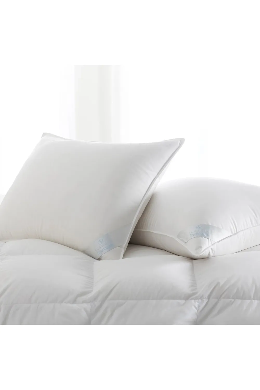 300TC Cotton Pillow | Scandia Copenhagen