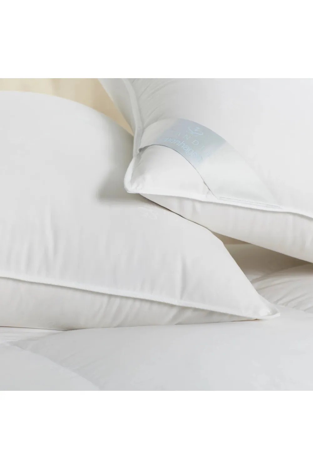 300TC Cotton Pillow | Scandia Copenhagen