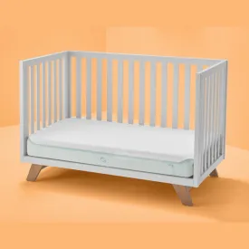 Bedgear Dri-Tec Performance Crib and Toddler Mattress