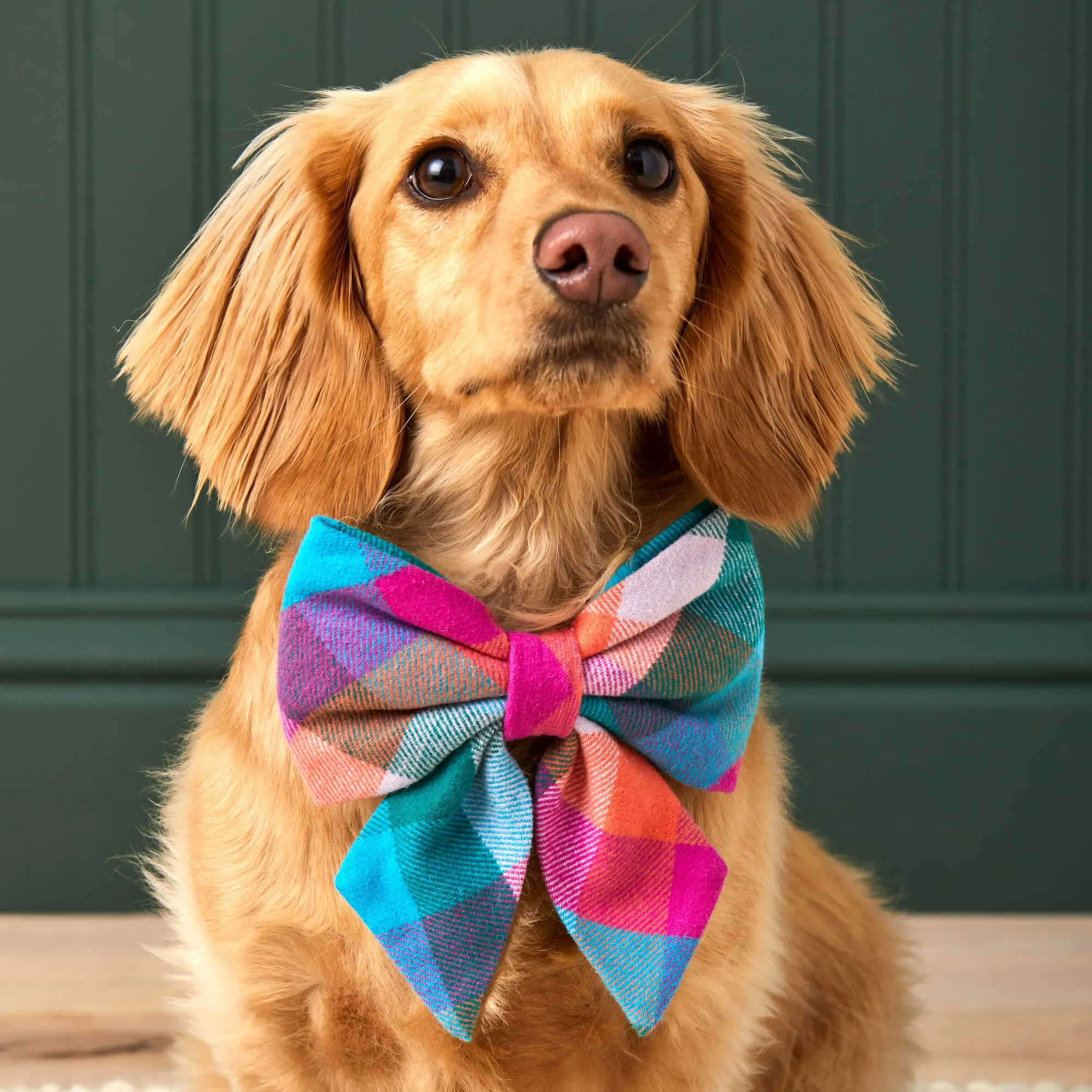 Color Pop Plaid Flannel Lady Dog Bow