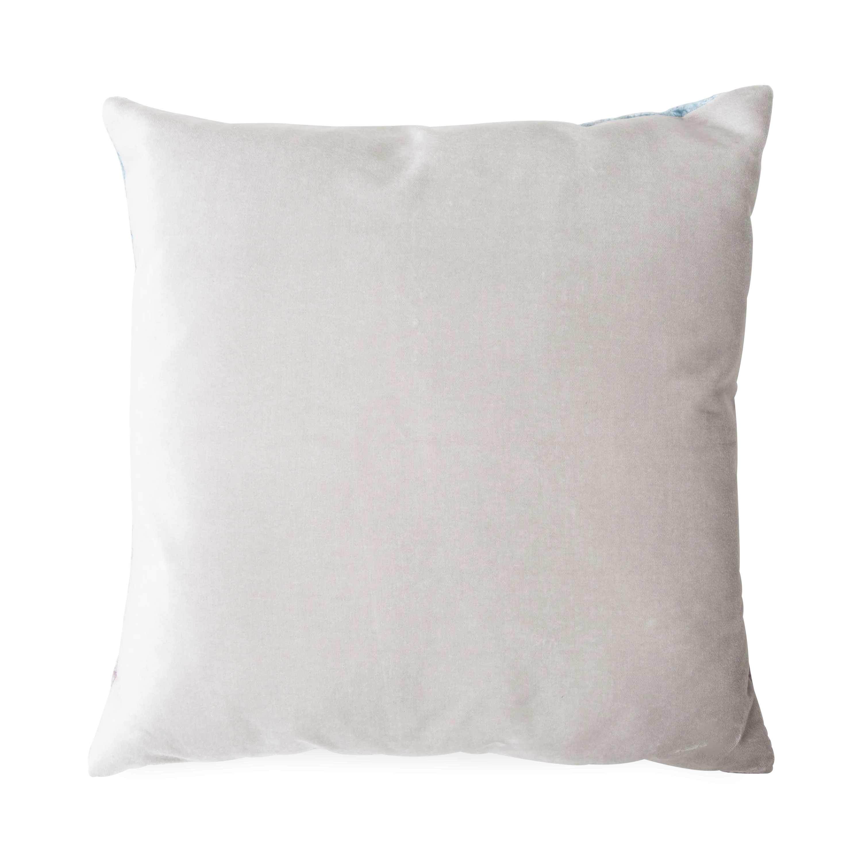 Coral Pillow