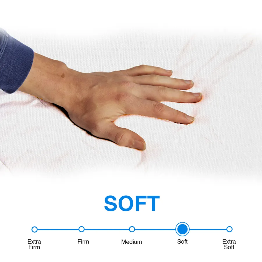 Flex Form Mattress