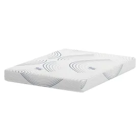 Flex Form Mattress