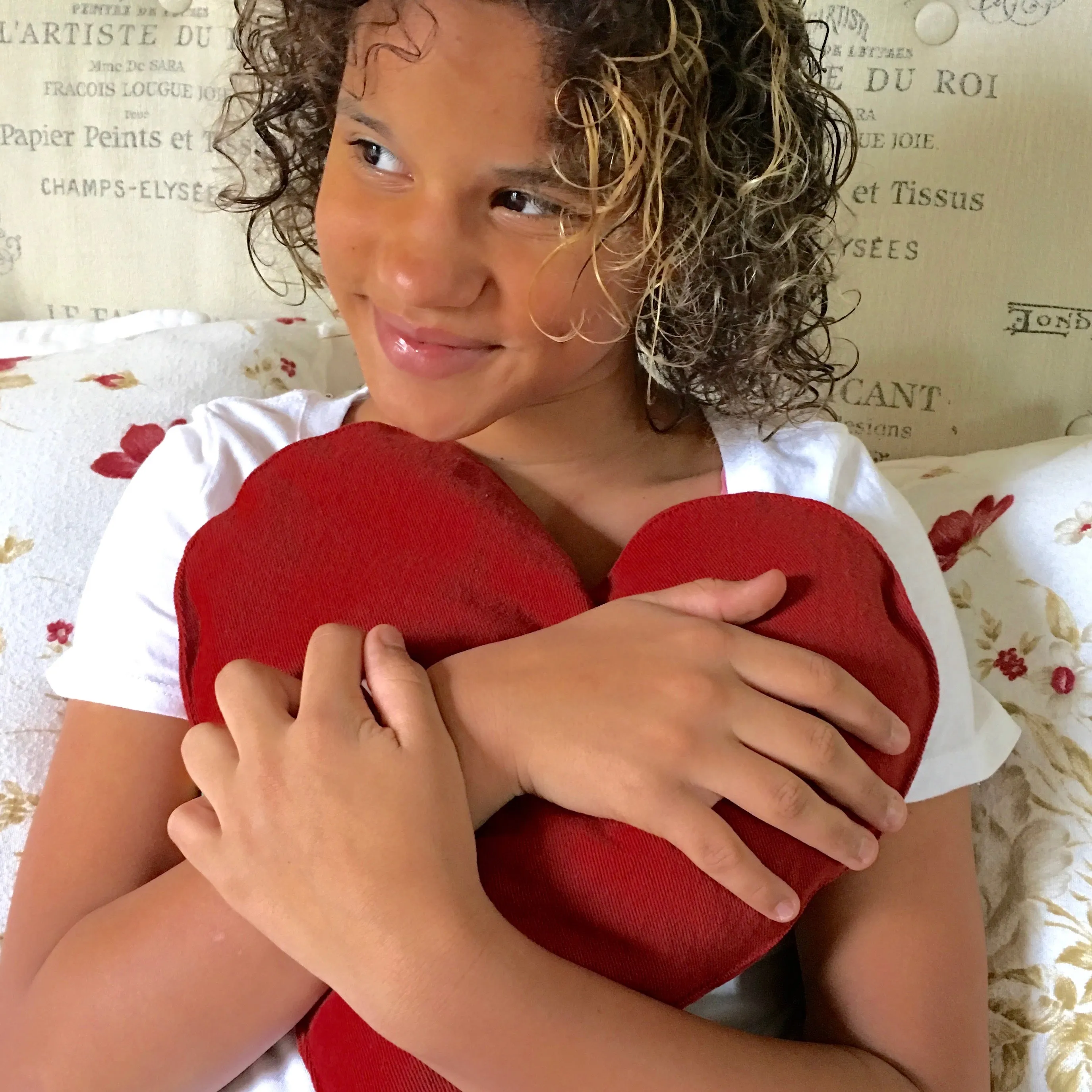 Heart-Shaped Hot Cherry Pillow in Red Denim