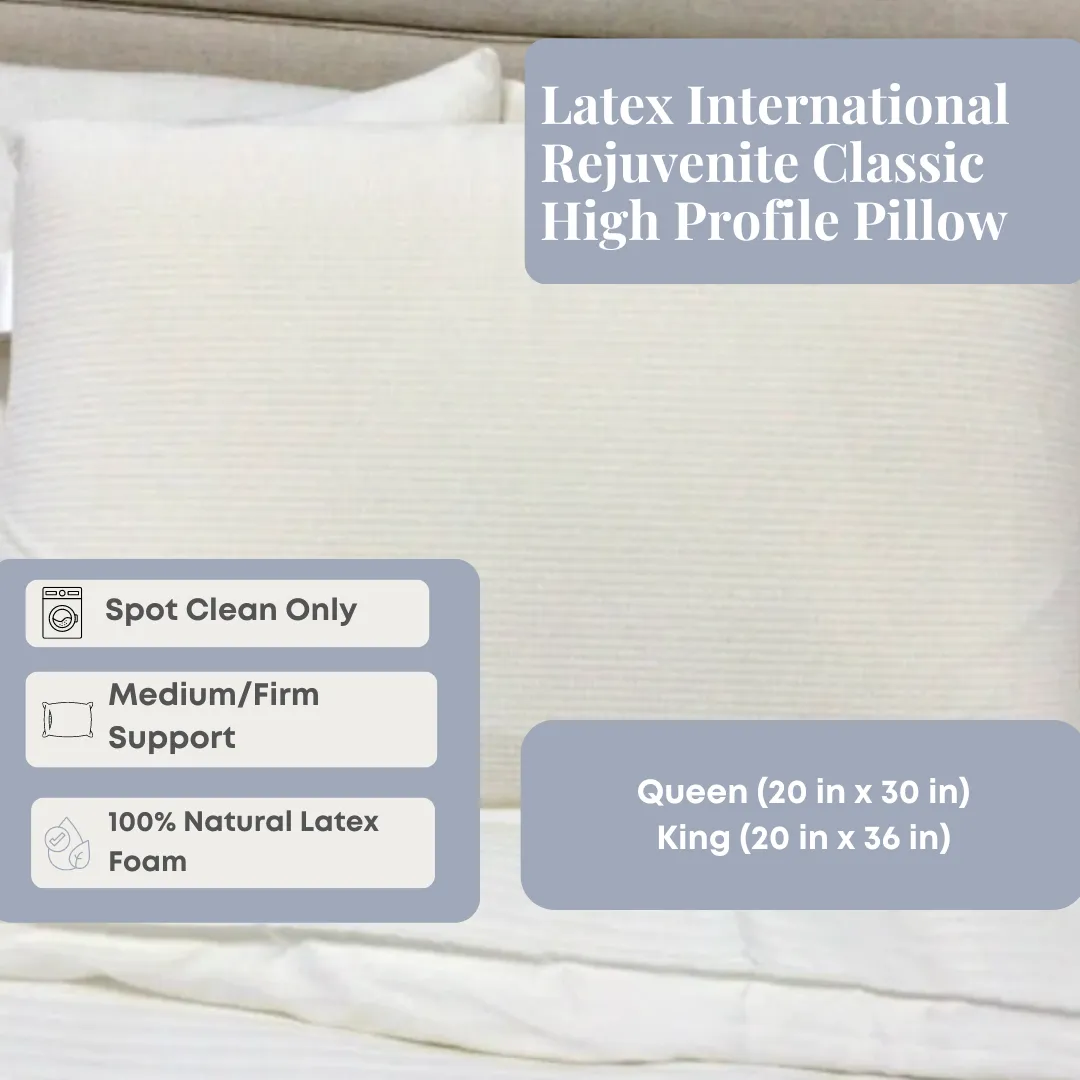 Latex International Rejuvenite Classic High Profile Pillow