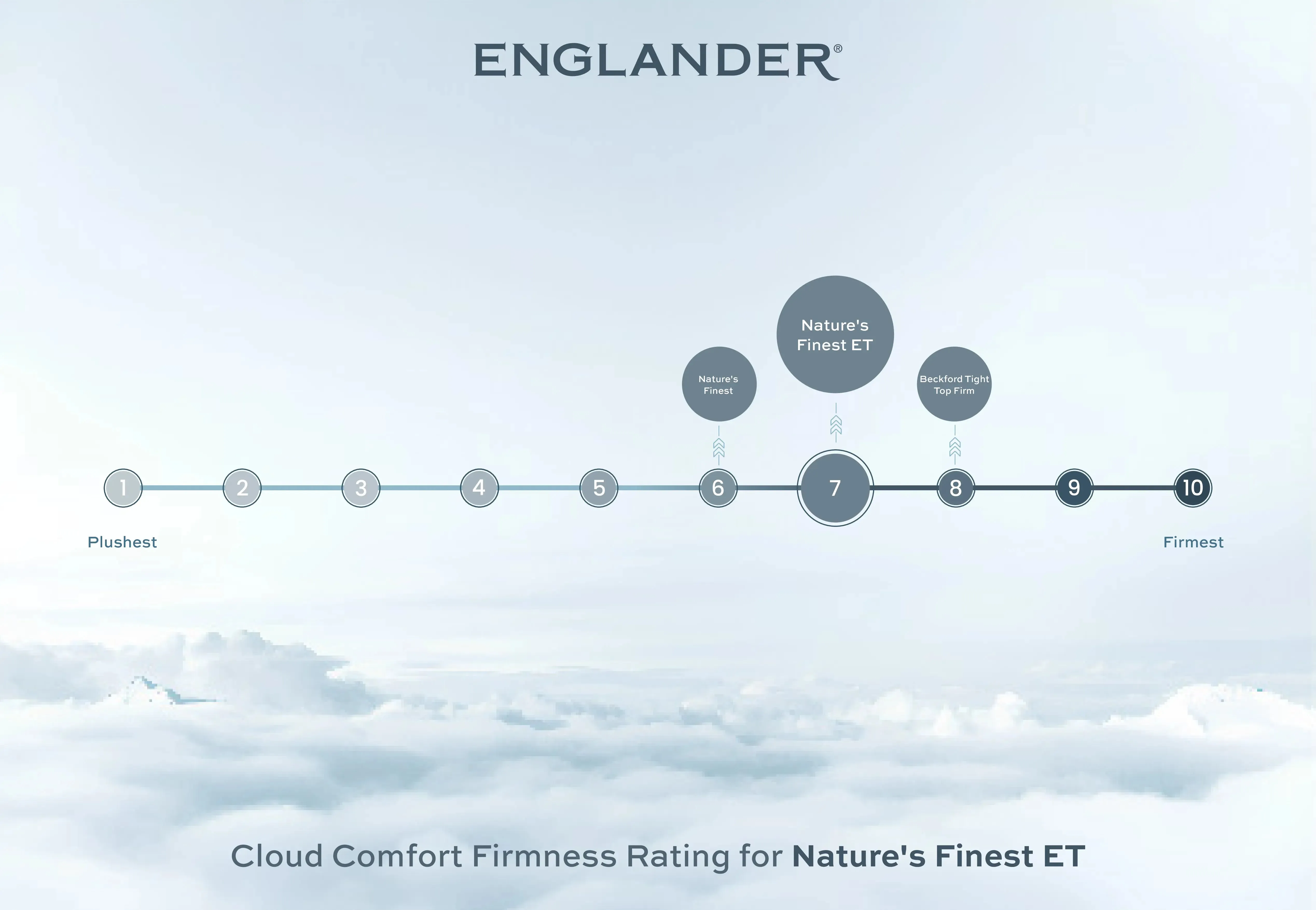 Nature's Finest Euro Top Medium Mattress by Englander